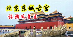 欧美色图1314中国北京-东城古宫旅游风景区